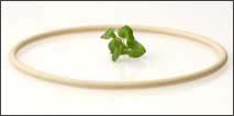 FDA-konforme Fluorelastomere, Viton