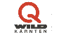 Wild-Instrumentenbau-Messgeräte-Gummidichtungen-Stanzteile-Dichtungen-Schlauchringe